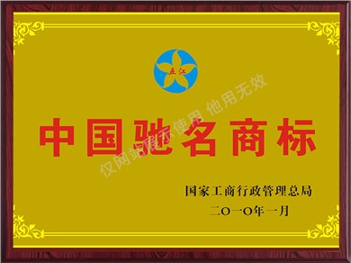Nhãn hiệu nổi tiếng Trung Quốc (2010)
