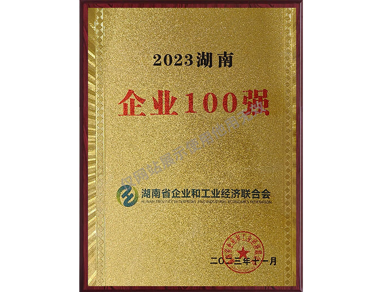 Top 100 doanh nghiệp Hồ Nam 2023