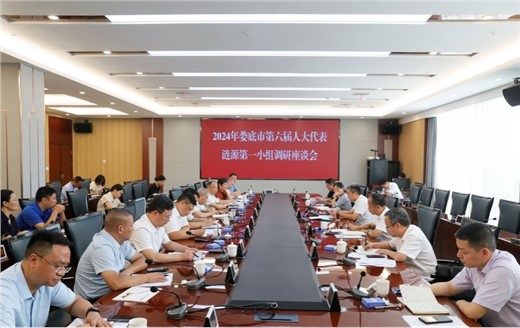 Chủ tịch Giang tham gia hoạt động khảo sát của nhóm đại biểu Hội đồng Nhân dân thành phố Lô Diện